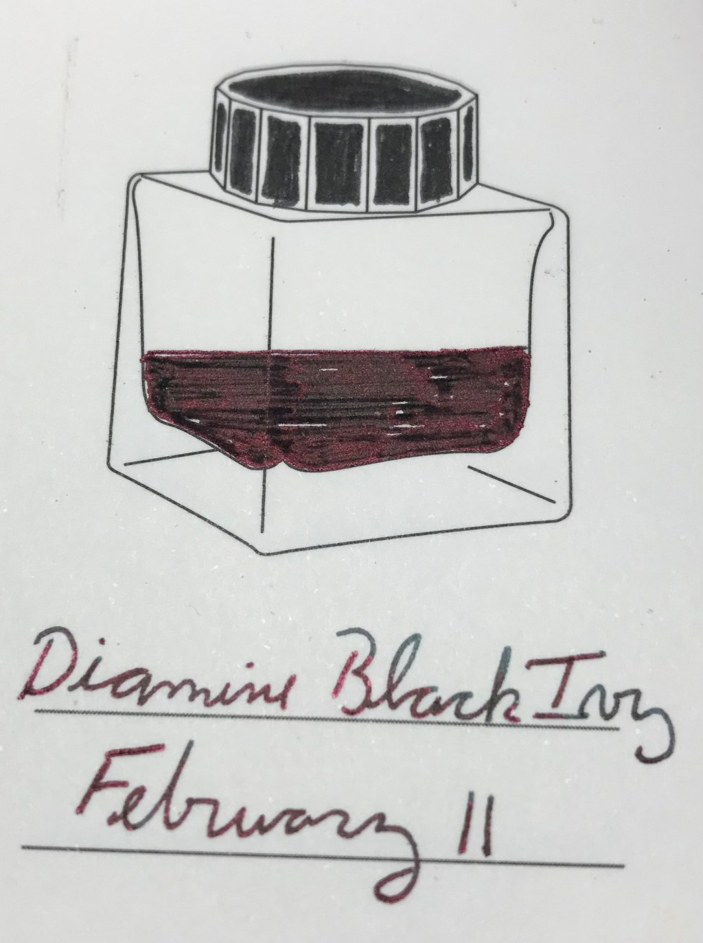 11 February – Diamine Black Ivy (& Order&nbsp;Passeriformes)