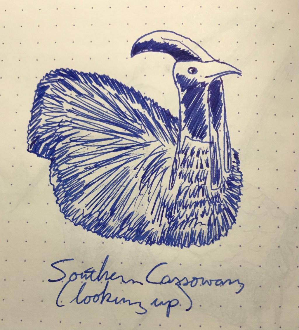 15 February – Pilot Iroshizuku Asa-gao (Cassowaries &&nbsp;Emu)