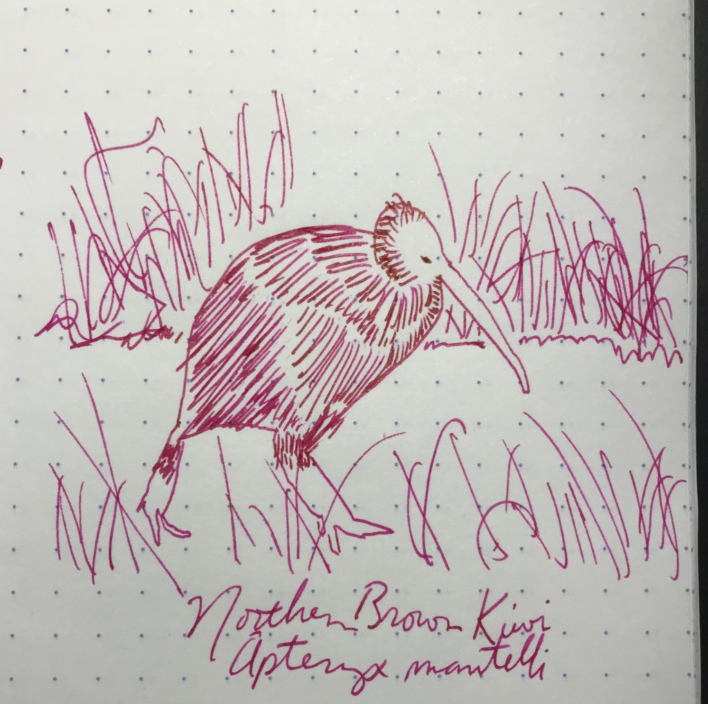 16 February – Pilot Iroshizuku Tsutsuji&nbsp;(Kiwis)