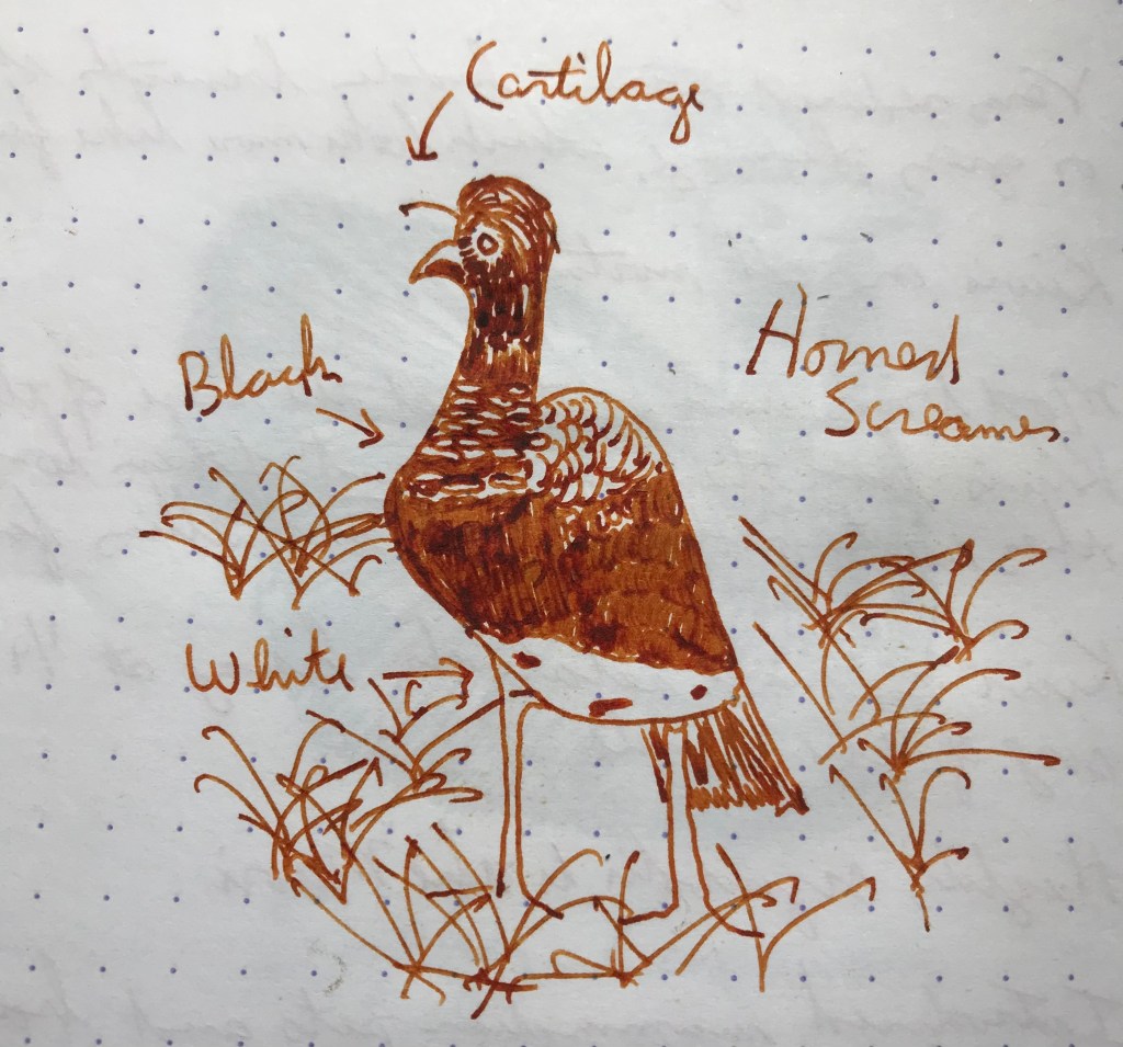 17 February – Noodler’s Kiowa Pecan&nbsp;(Screamers)