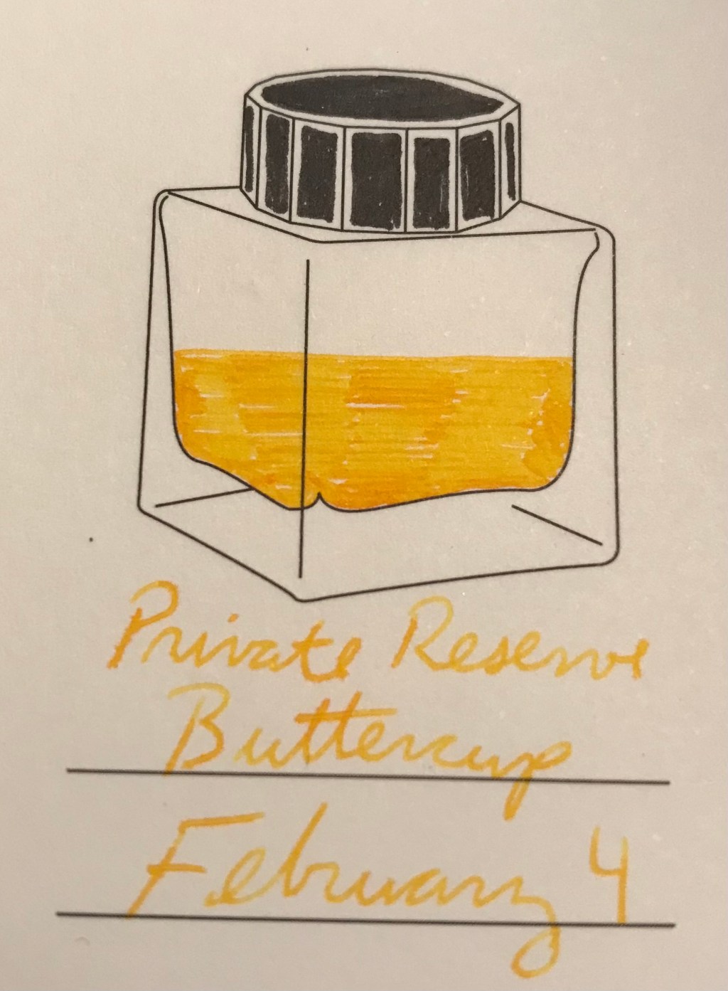 4 February – Private Reserve Buttercup (& Order&nbsp;Bucerotiformes)