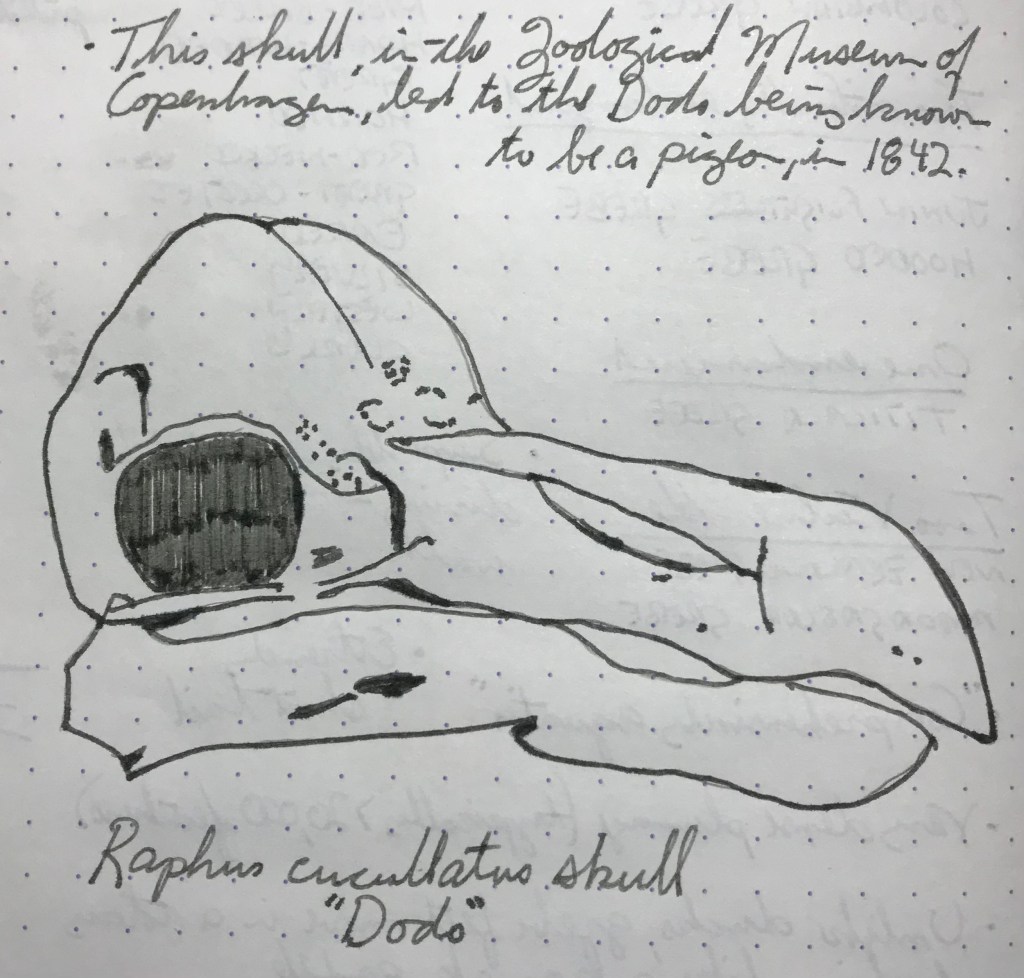 1 March – Noodler’s Lexington Grey (Pigeons &&nbsp;Doves)