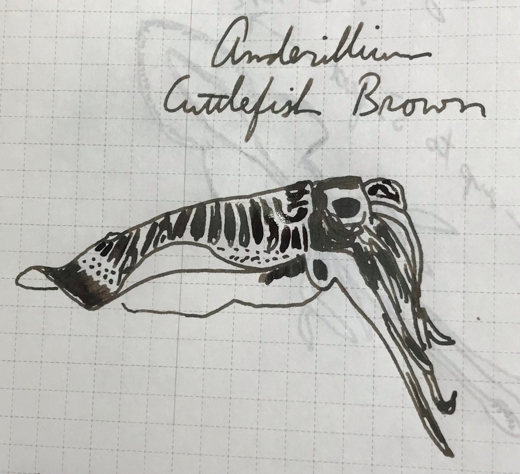 12 January 2024 – Anderillium Cuttlefish&nbsp;Brown