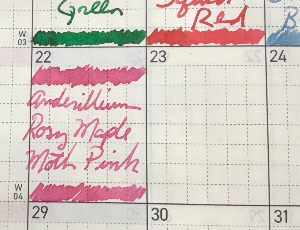 22 January 2024 – Anderillium Rosy Maple Moth&nbsp;Pink