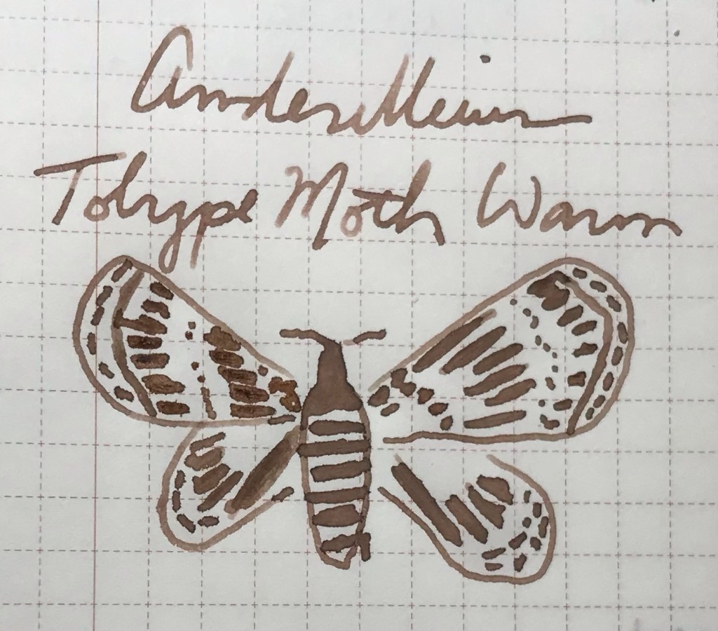23 January 2024 – Anderillium Tolype Moth&nbsp;Warm